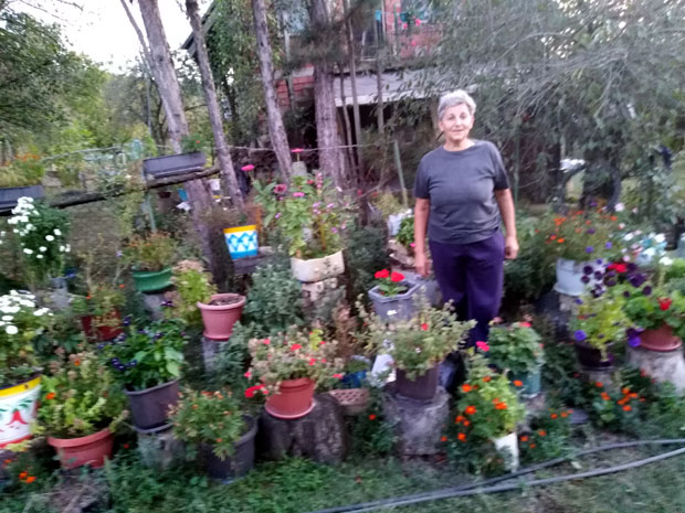 Боља сеоска њива од фирме у Београду